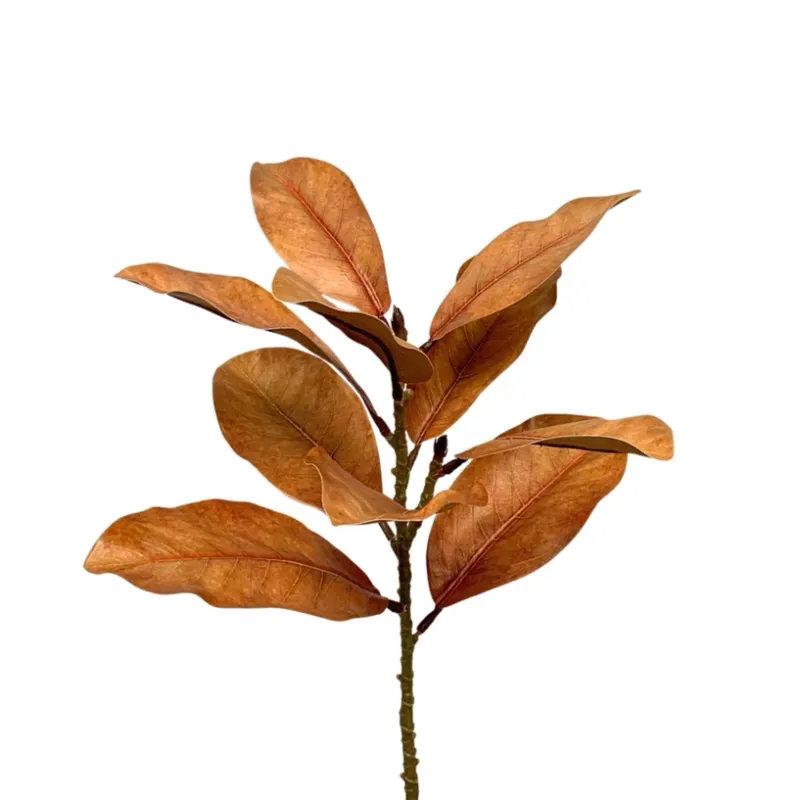 21.5 Inch Brown Magnolia Leaf Spray