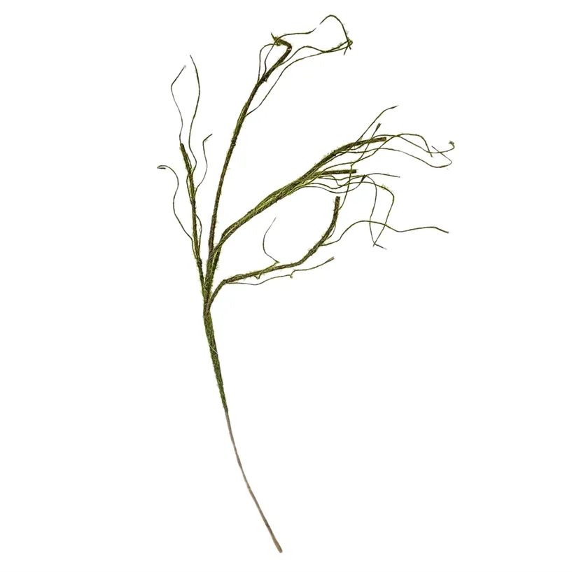 35.5 Inch Grass Twig Branch