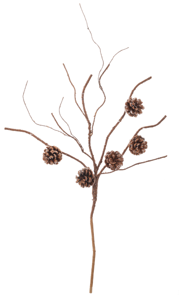 Twig Pinecone Spray