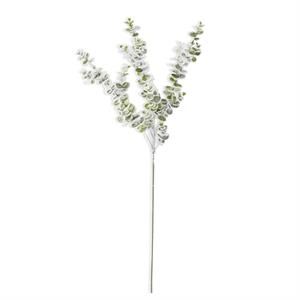 32 Inch Frosted Eucalyptus Stem