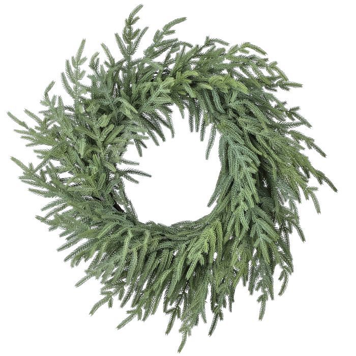 24 Inch Just Cut Norfolk Pine Wreath