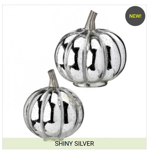 6.5 - 8 Inch Mercury Glass Pumpkin