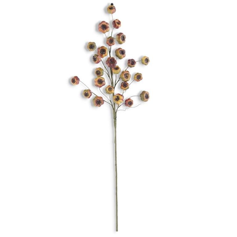 27 Inch Green Bown Fig Stem