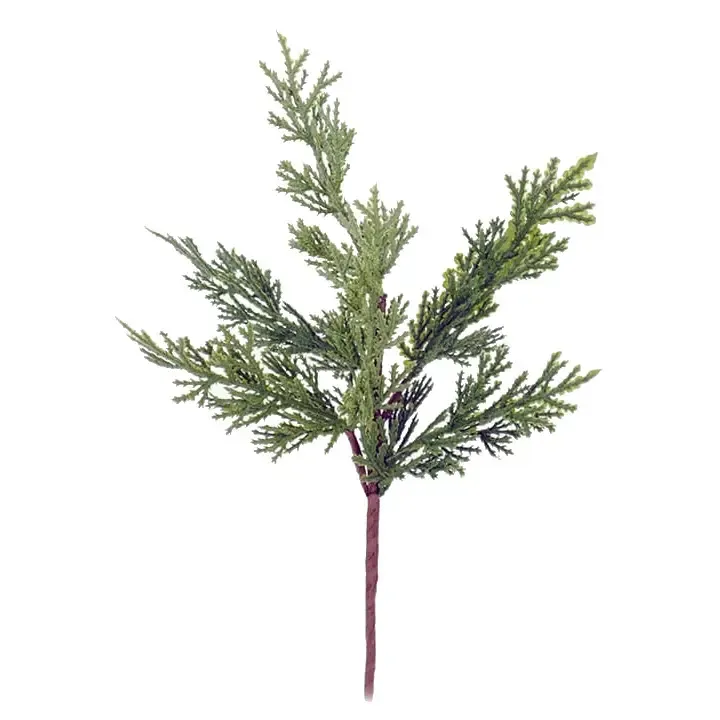 12inch Juniper Pick