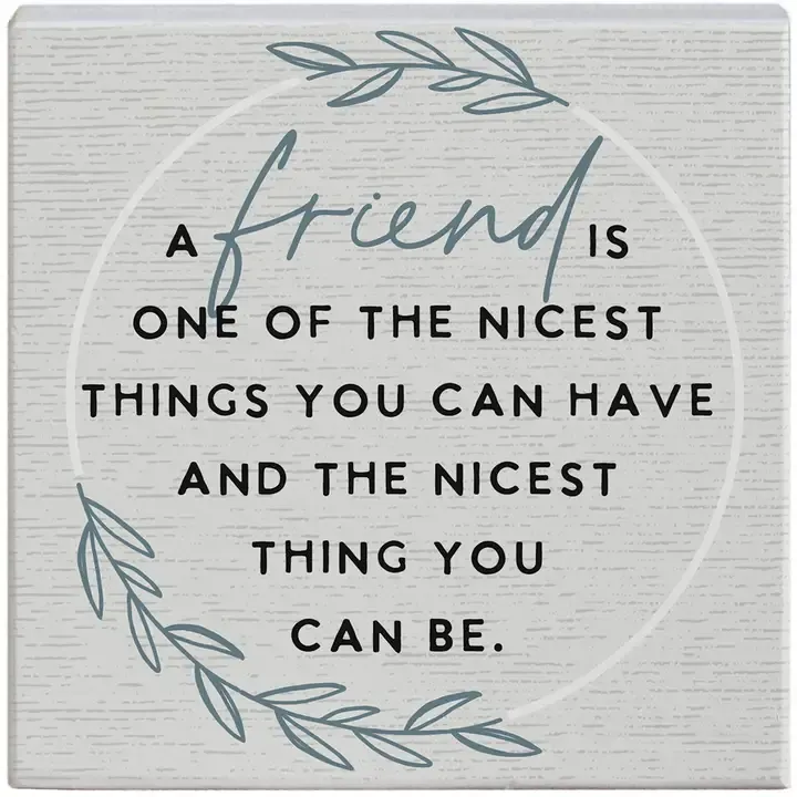 Friend The Nicest Block
