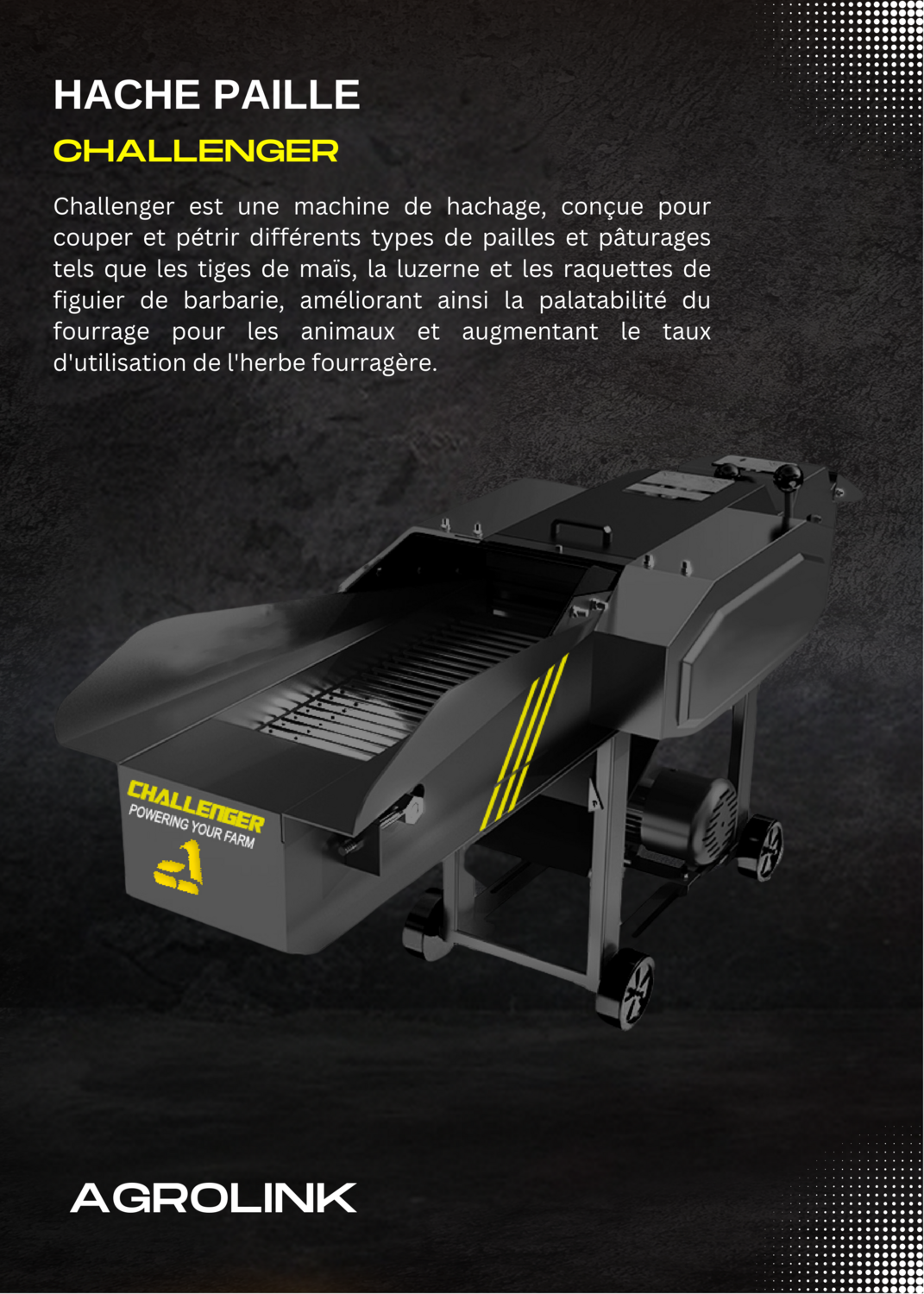 HACHE PAILLE