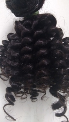 Spring Steam  Curly