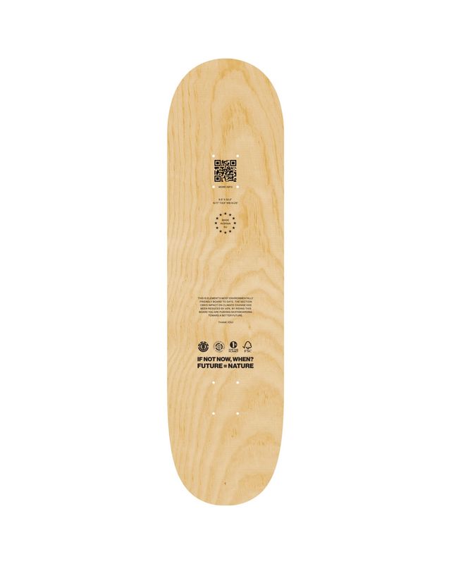 ELEMENT DECK  SECTION C.B.N