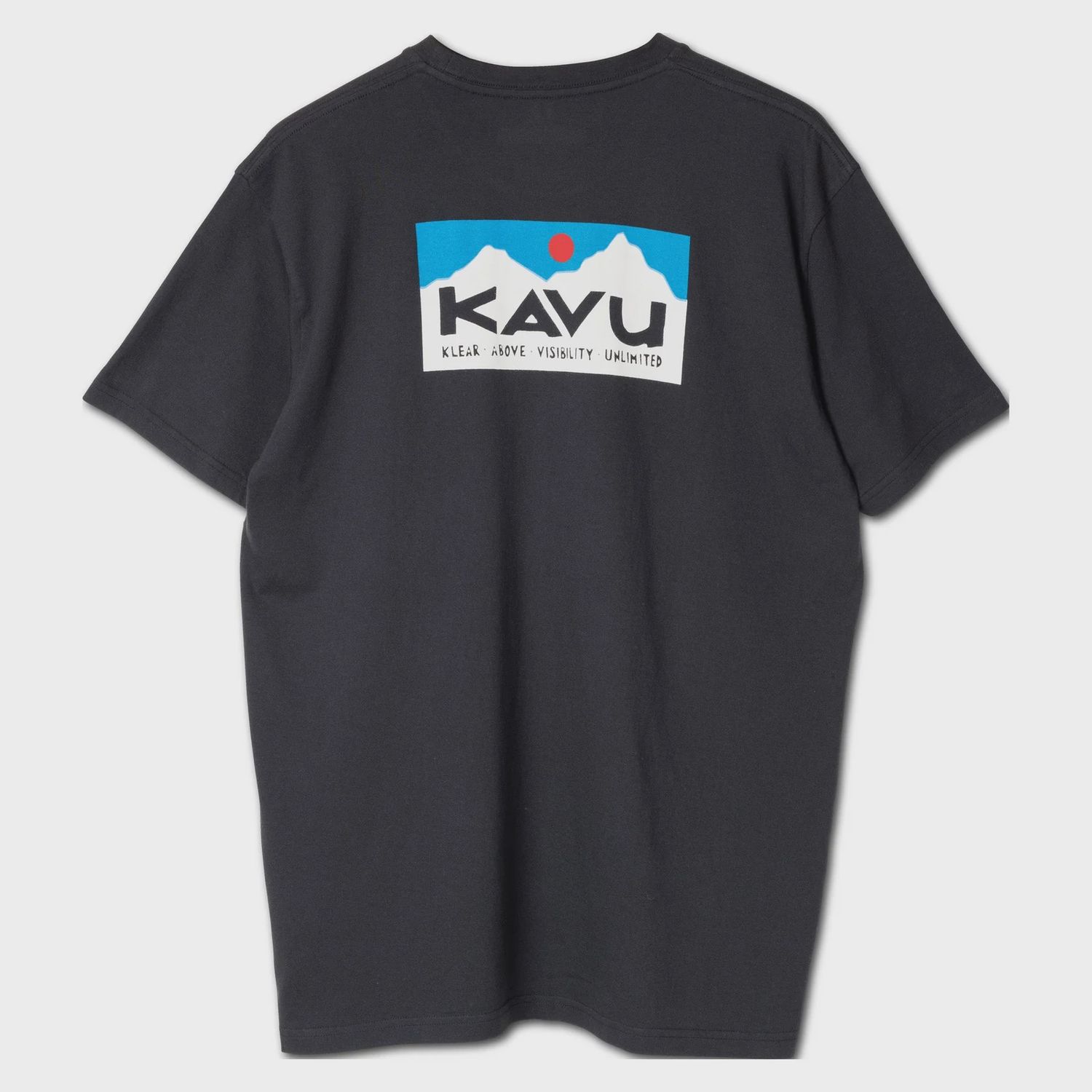 KAVU TEE TRUE GRADE