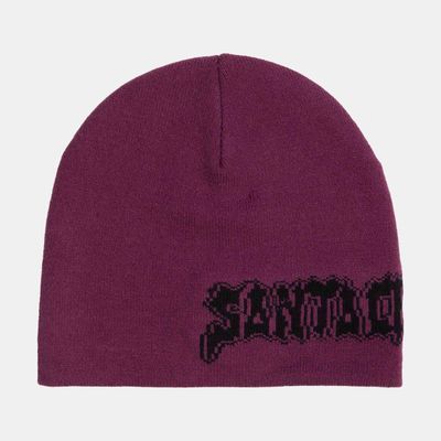 SANTA CRUZ BEANIE PUNK STRIP