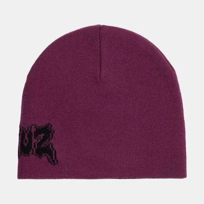SANTA CRUZ BEANIE PUNK STRIP