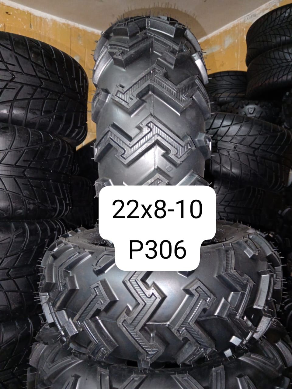 22x8-10 p306