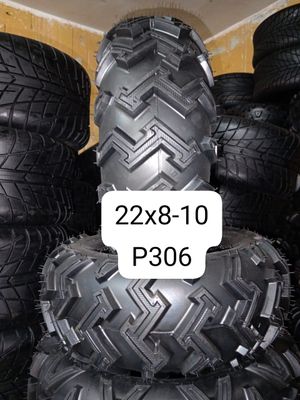 22x8-10 p306