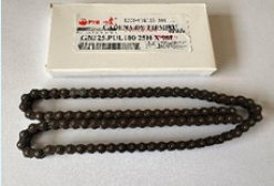 CADENA DE TIEMPO (FYM) GN125 25H98L
