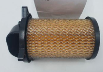 FILTRO DE AIRE ITALIKA DM-150