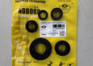 KIT DE SELLOS APACHE 160/180