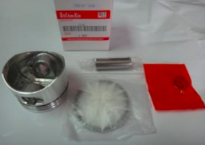 PISTON (STD) C-110
