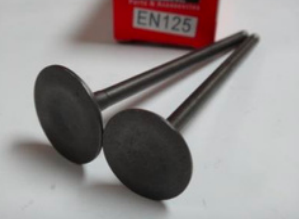 VALVULA (MOTOR) EN, GN125