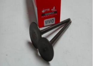 VALVULA (MOTOR) VIVIO