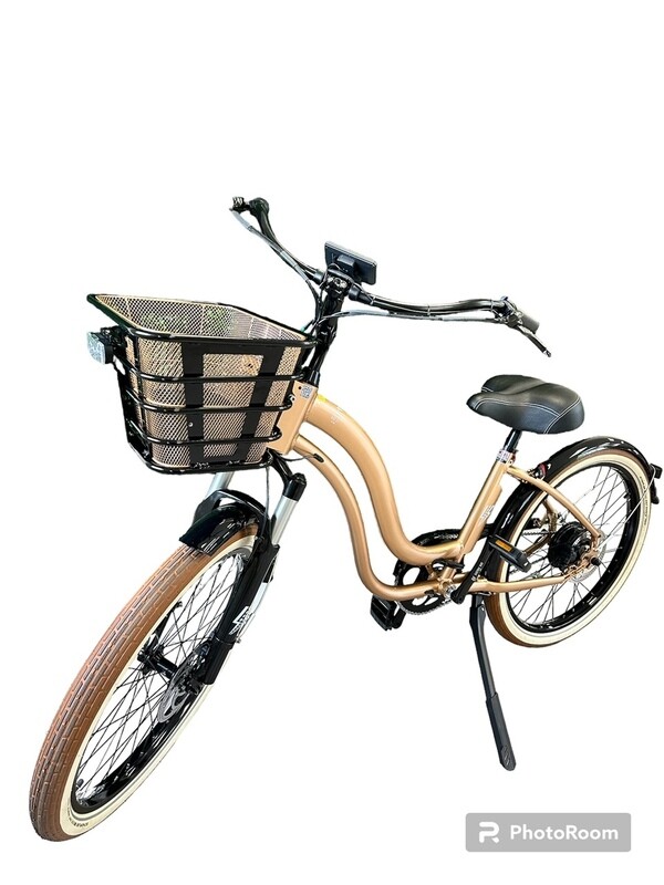 Model Y Gold