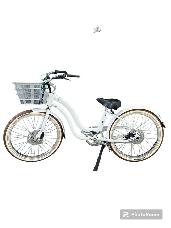 Model Y - White