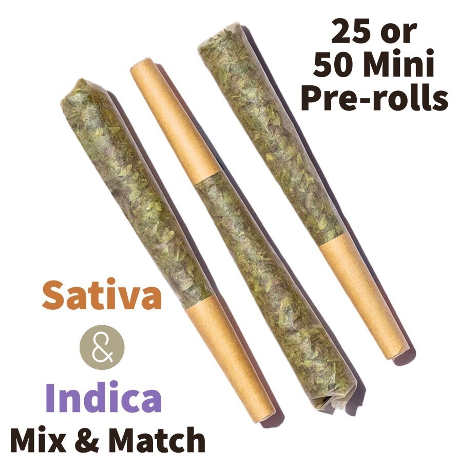 25x .5g Infused Pre-Roll Packs