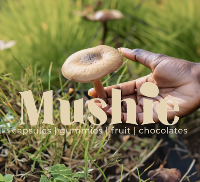 Mushie