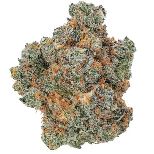 Sherb Cream Pie  (Hybrid)