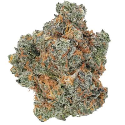 Sherb Cream Pie  (Hybrid)