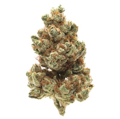 Sour Blue Sunrise (Hybrid)