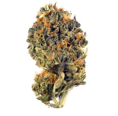 Blackberry Haze (Sativa)