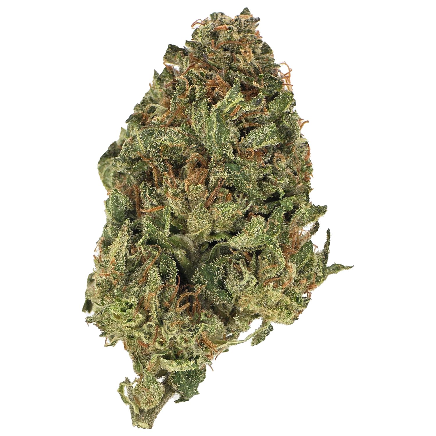 Black Cherry Runtz (Indica)