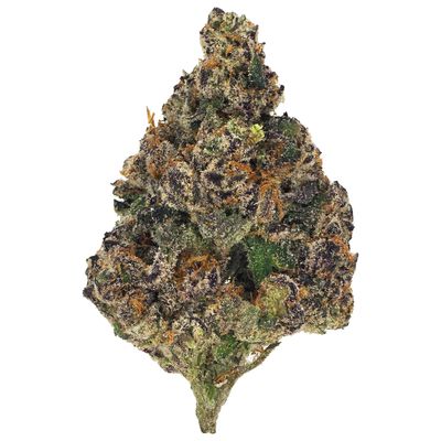 Super Silver x Sour Diesel (Sativa)