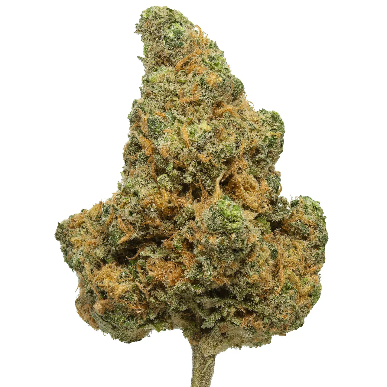 Blue Dream (S/H)