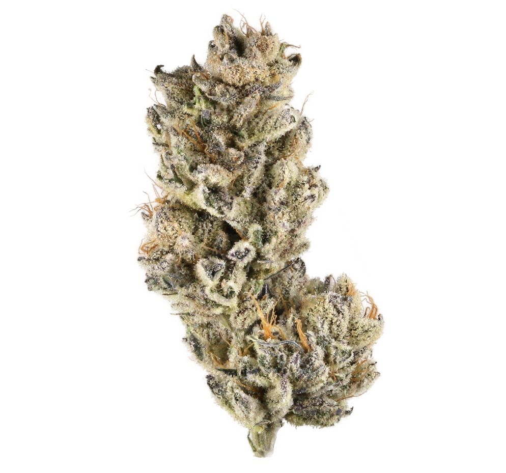 Purple Punch (Indica)