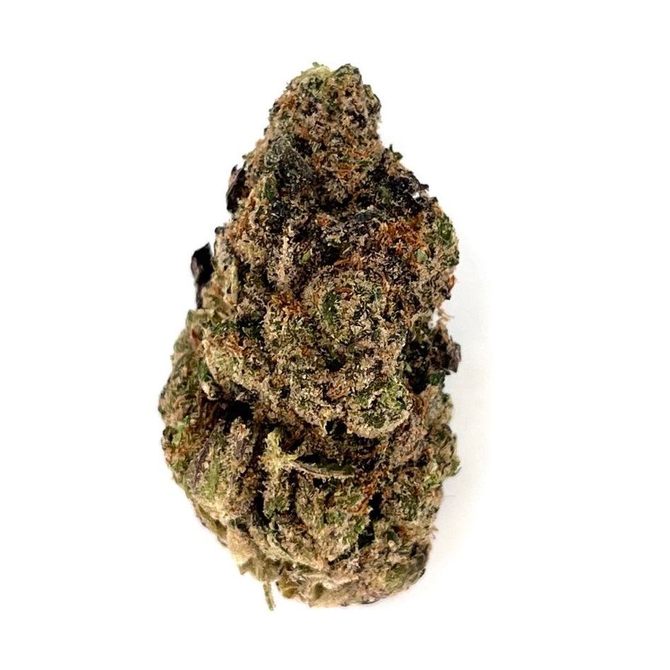 Koolato (Hybrid)