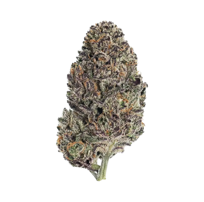 Blue Rose (Indica)