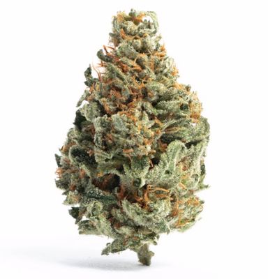 Animal Cocktail (Hybrid)