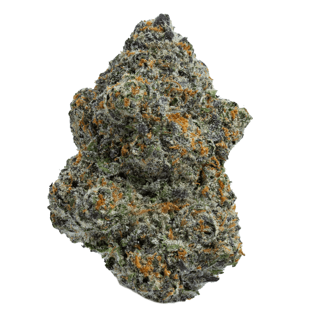 Gelato 41 (Indica)