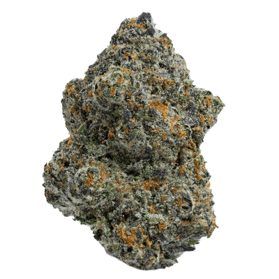 Gelato 41 (Indica)