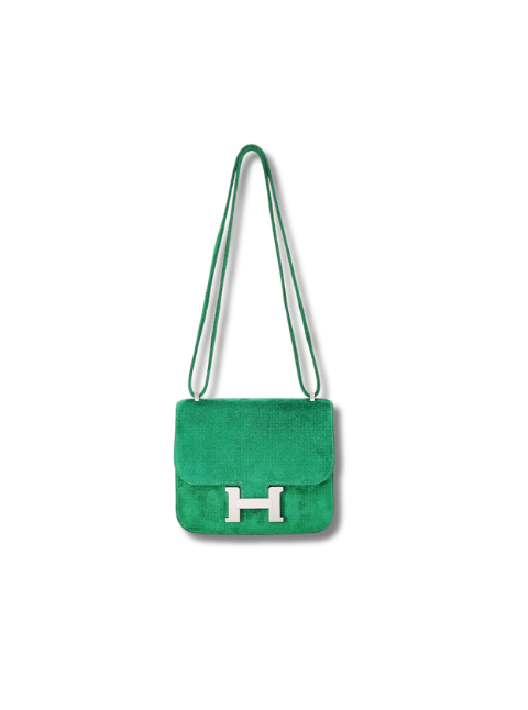 Pre-Loved HERMÈS Cactus Doblis Constance 18