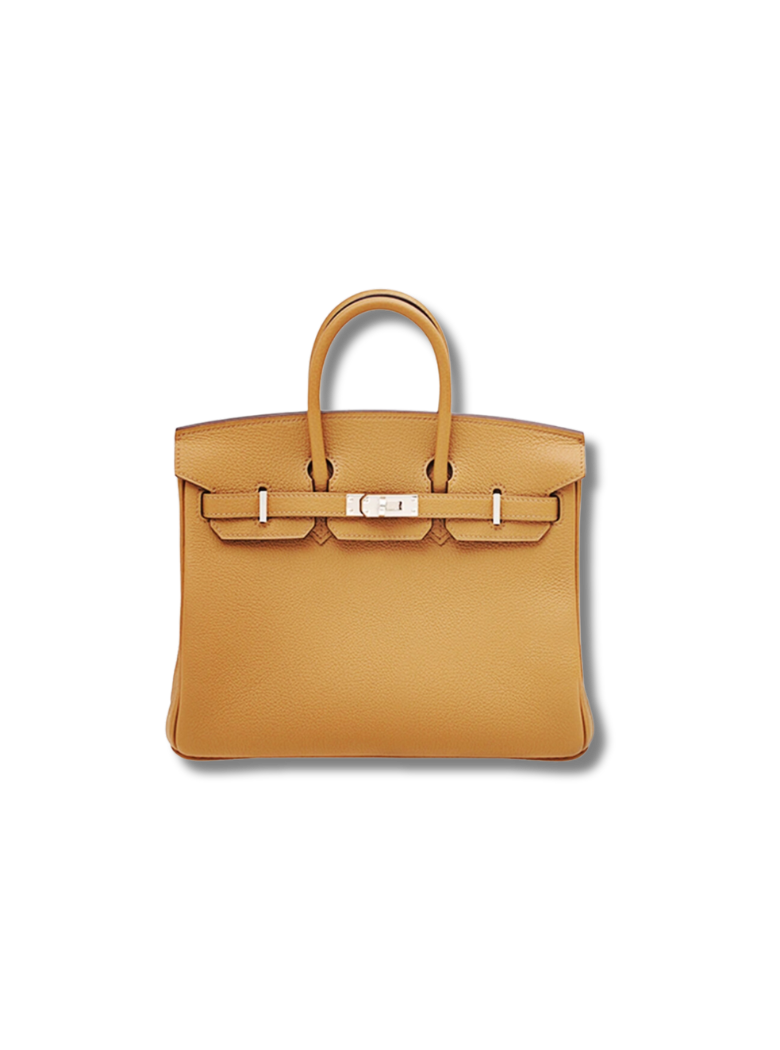 Pre-Loved HERMÈS Birkin Togo leather 25 Birkin bag-biscuit silver buckle