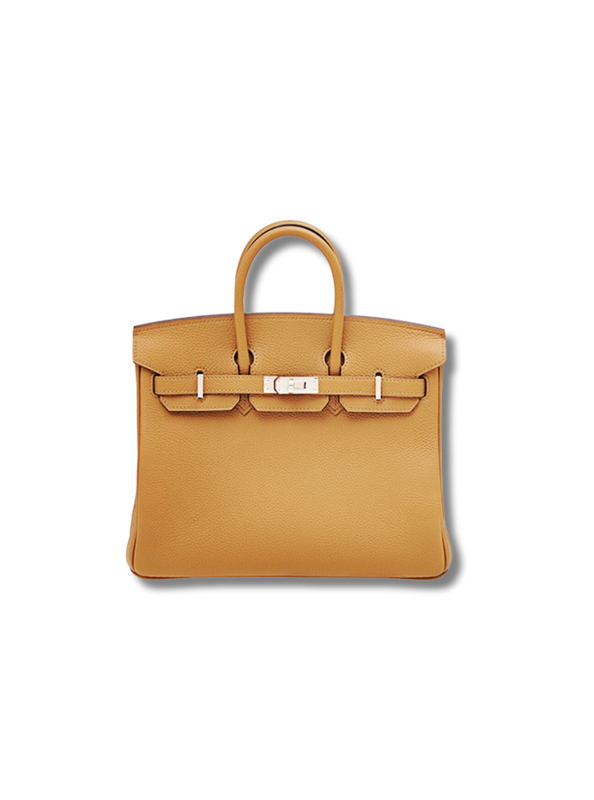 Pre-Loved HERMÈS Birkin Togo leather 25 Birkin bag-biscuit silver buckle