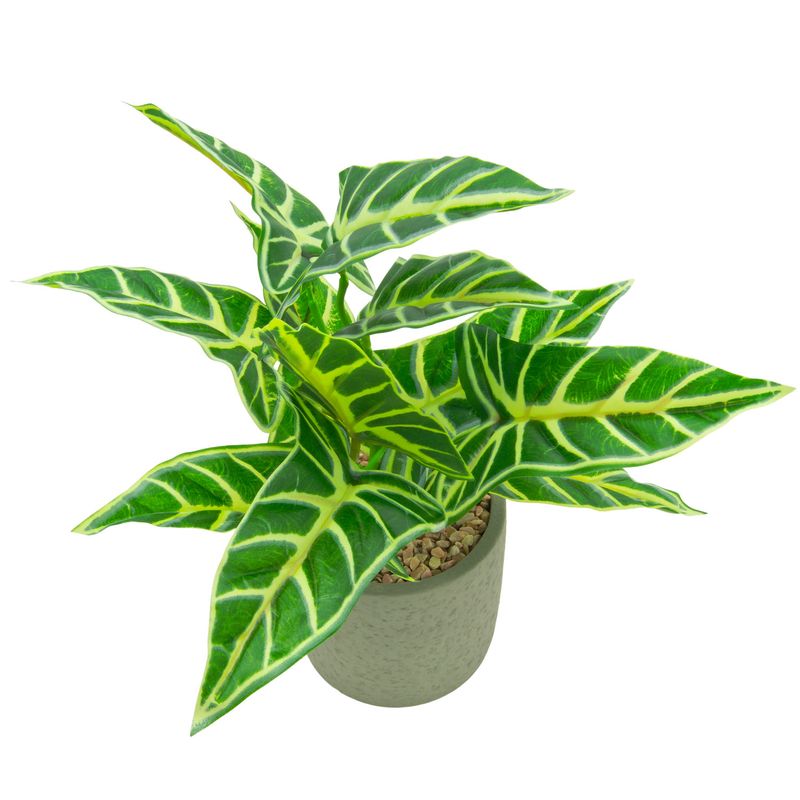 Künstliche Pflanze "Alocasia / Pfeilblatt" im Zementtopf ca. 35 cm