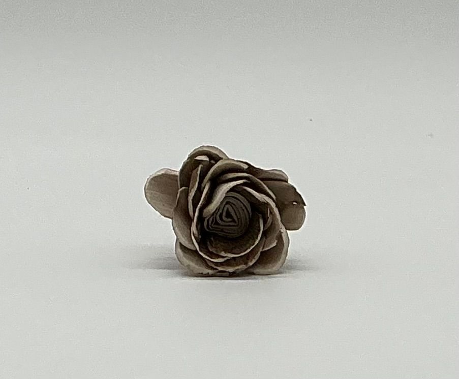 Brown Carnation