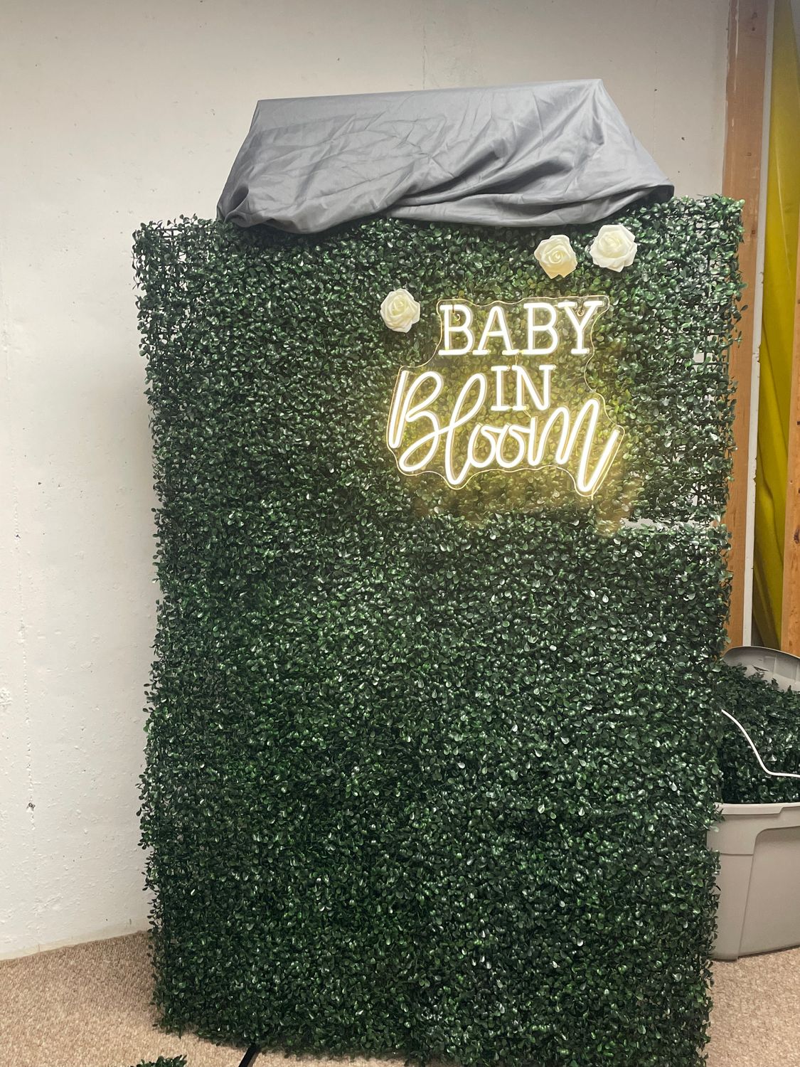 Baby in Bloom Neon Sign