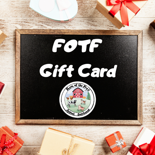 FOTF e-Gift card