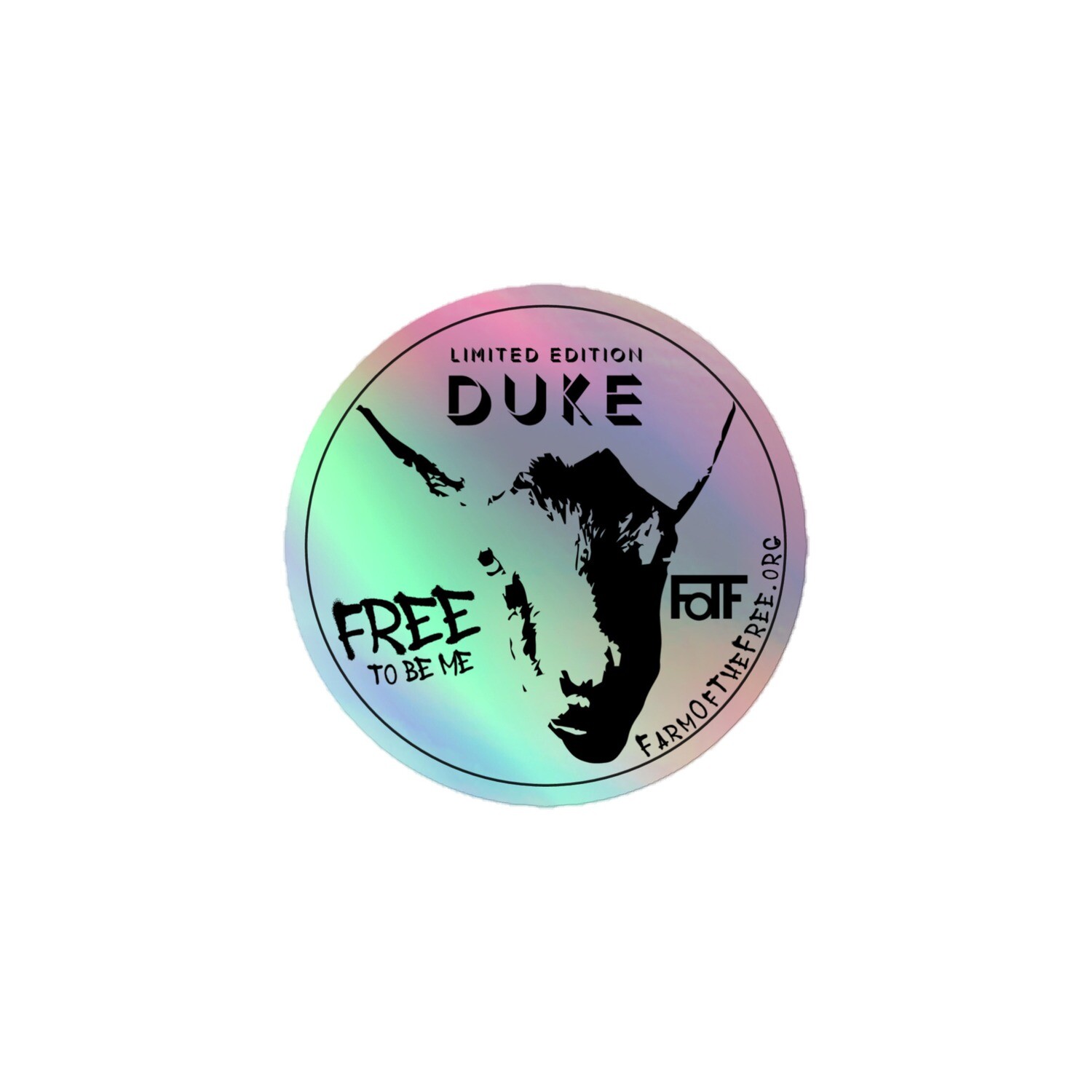 3" Duke holographic stickers