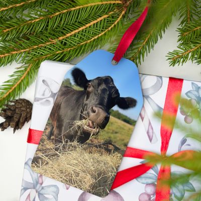 2025 Hay Fundraiser Ornament