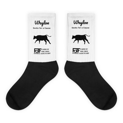 Socks for a cause! Support Waylon’s vet bills 